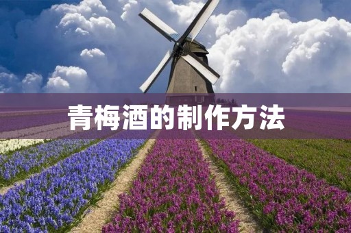 青梅酒的制作方法 青梅酒的制作方法