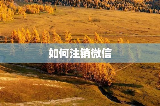 如何注销微信：从解除绑定到账号注销的详细步骤