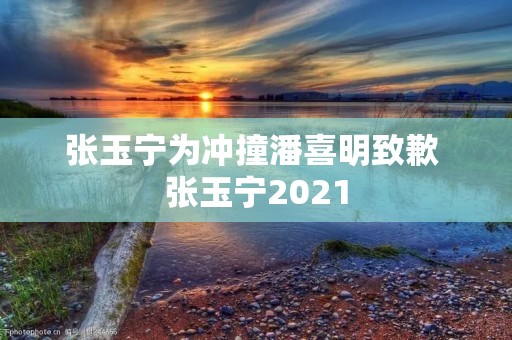 张玉宁为冲撞潘喜明致歉 张玉宁2021 张玉宁为冲撞潘喜明致歉 张玉宁2021