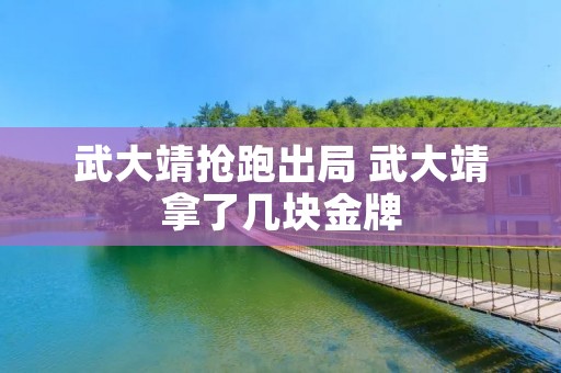 武大靖抢跑出局 武大靖拿了几块金牌