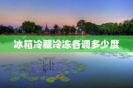 冰箱冷藏冷冻各调多少度:冷藏室与冷冻室的最佳温度设置 冰箱冷藏冷冻各调多少度:冷藏室与冷冻室的最佳温度设置