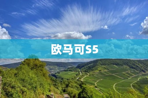欧马可S5:一款性能卓越的豪华SUV 欧马可S5:一款性能卓越的豪华SUV