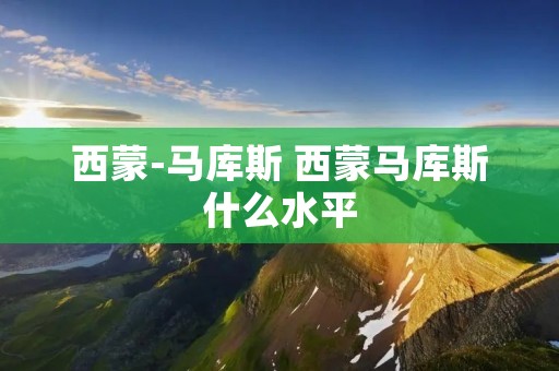 西蒙-马库斯 西蒙马库斯什么水平 西蒙-马库斯 西蒙马库斯什么水平