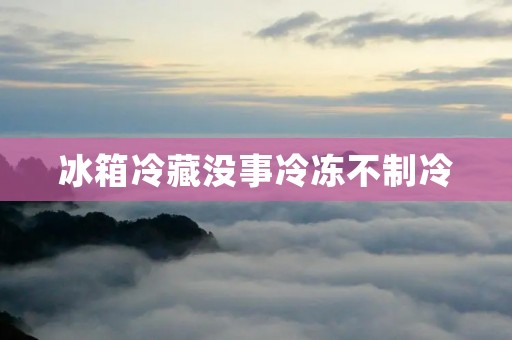冰箱冷藏没事冷冻不制冷：问题分析与解决方法