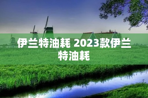 伊兰特油耗 2023款伊兰特油耗