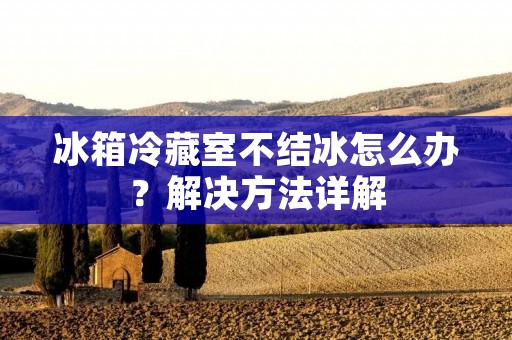 冰箱冷藏室不结冰怎么办?解决方法详解 冰箱冷藏室不结冰怎么办?解决方法详解