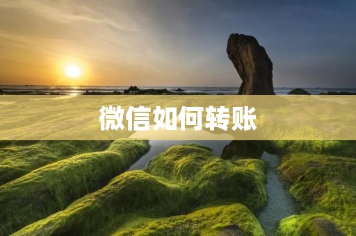 微信如何转账：简单快捷的电子支付方式