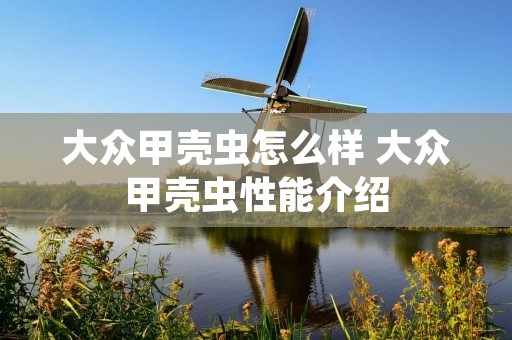 大众甲壳虫怎么样 大众甲壳虫性能介绍