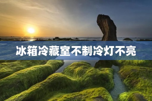 冰箱冷藏室不制冷灯不亮：原因与解决方案