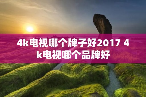 4k电视哪个牌子好2017 4k电视哪个品牌好