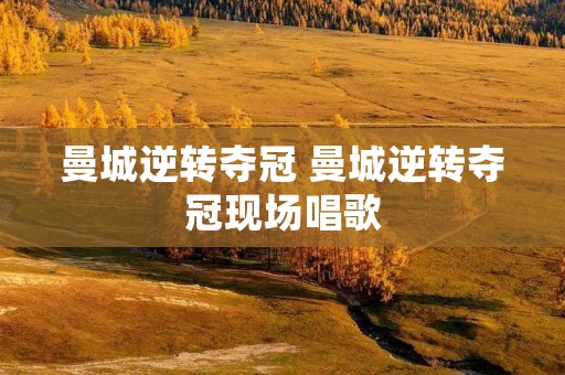 曼城逆转夺冠 曼城逆转夺冠现场唱歌