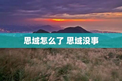 思域怎么了 思域没事