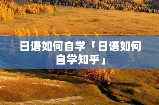 日语如何自学「日语如何自学知乎」