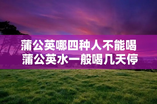 蒲公英哪四种人不能喝 蒲公英水一般喝几天停几天