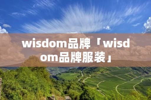 wisdom品牌「wisdom品牌服装」