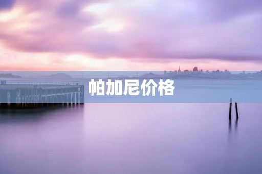 帕加尼价格：奢华与性能的完美结合
