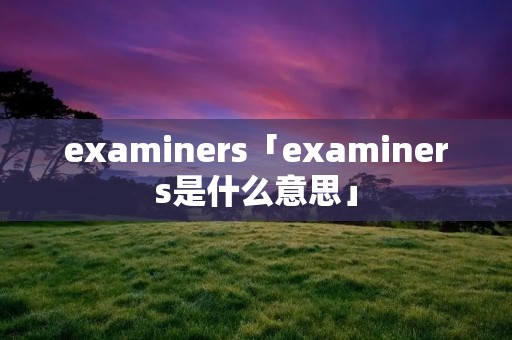 examiners「examiners是什么意思」