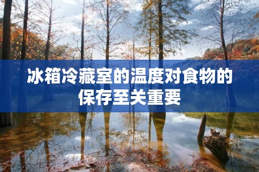 冰箱冷藏室的温度对食物的保存至关重要