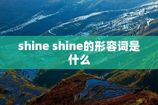shine shine的形容词是什么