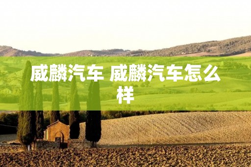 威麟汽车 威麟汽车怎么样 威麟汽车 威麟汽车怎么样