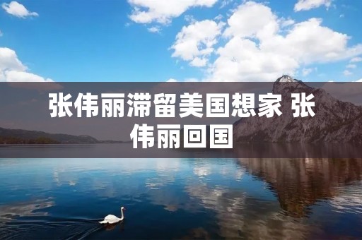 张伟丽滞留美国想家 张伟丽回国