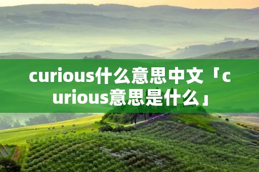 curious什么意思中文「curious意思是什么」