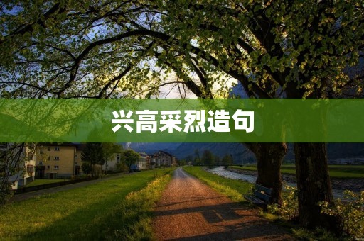 兴高采烈造句:迎接成功的喜悦