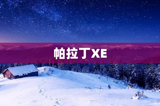 帕拉丁XE:一款高性能电动SUV的完美融合 帕拉丁XE:一款高性能电动SUV的完美融合