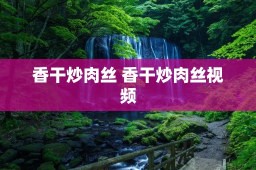 香干炒肉丝 香干炒肉丝视频