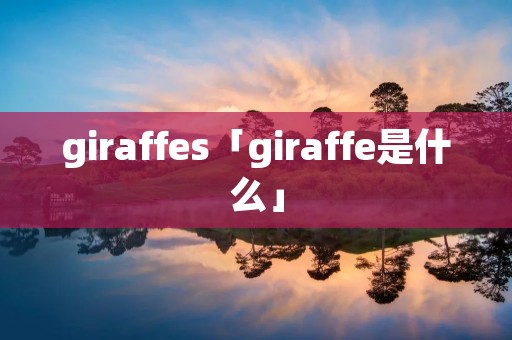 giraffes「giraffe是什么」