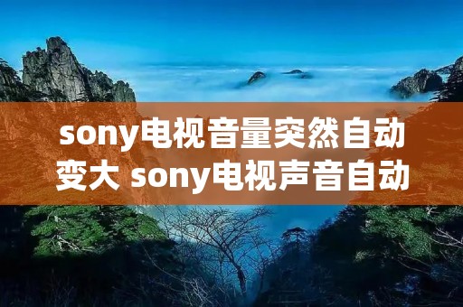 sony电视音量突然自动变大 sony电视声音自动变大 sony电视音量突然自动变大 sony电视声音自动变大
