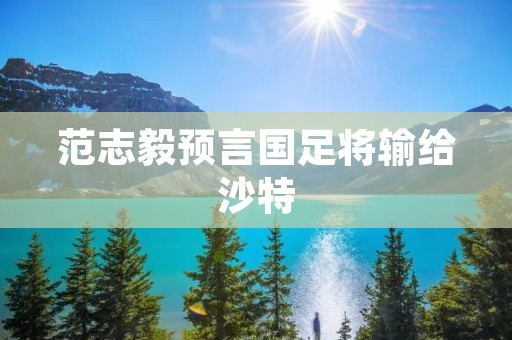 范志毅预言国足将输给沙特:一个令人震惊的预测 范志毅预言国足将输给沙特:一个令人震惊的预测