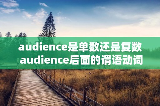 audience是单数还是复数 audience后面的谓语动词用单数还是复数 audience是单数还是复数 audience后面的谓语动词用单数还是复数
