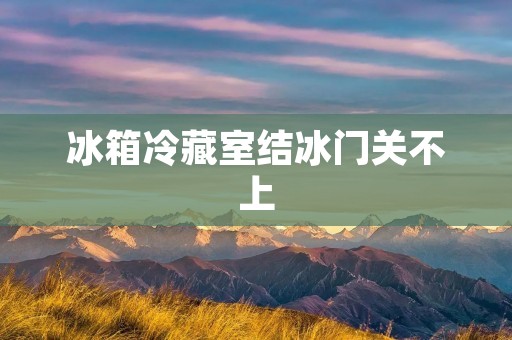 冰箱冷藏室结冰门关不上：原因与解决方法