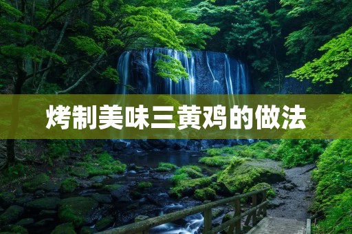 烤制美味三黄鸡的做法