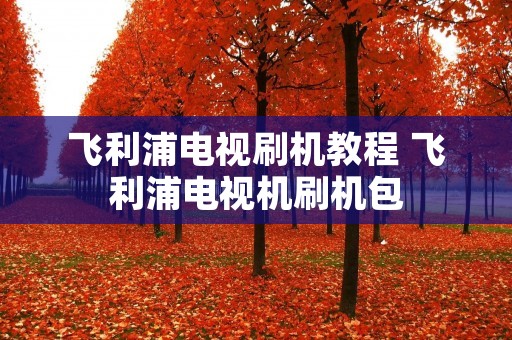 飞利浦电视刷机教程 飞利浦电视机刷机包 飞利浦电视刷机教程 飞利浦电视机刷机包
