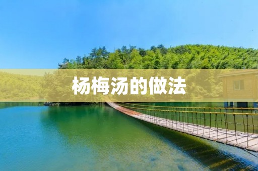 杨梅汤的做法:美味酸甜的夏日佳饮