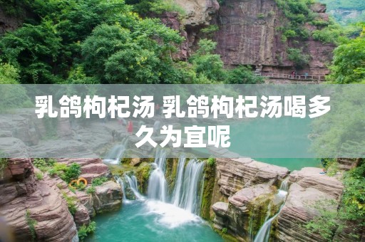 乳鸽枸杞汤 乳鸽枸杞汤喝多久为宜呢