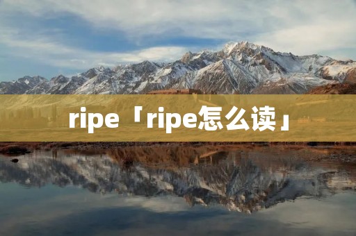 ripe「ripe怎么读」 ripe「ripe怎么读」