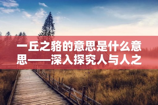 一丘之貉的意思是什么意思——深入探究人与人之间的相似性和群体行为