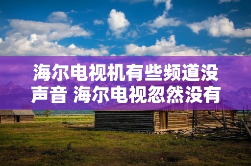 海尔电视机有些频道没声音 海尔电视忽然没有声音了