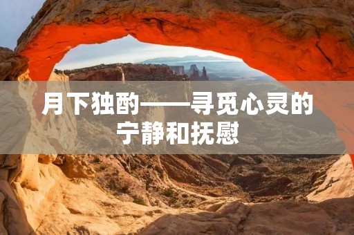 月下独酌——寻觅心灵的宁静和抚慰