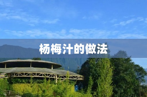 杨梅汁的做法:酸甜口感的健康饮品