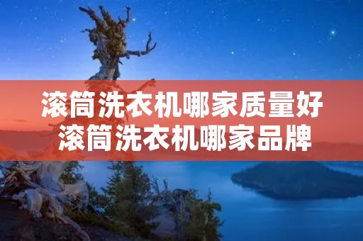 滚筒洗衣机哪家质量好 滚筒洗衣机哪家品牌好
