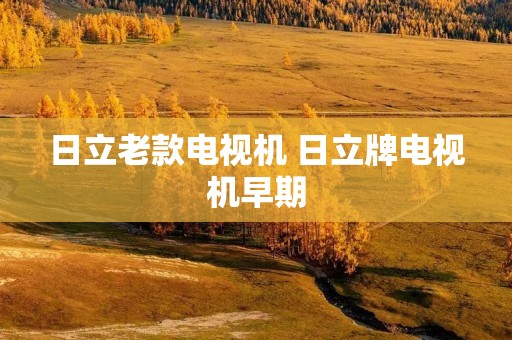 日立老款电视机 日立牌电视机早期