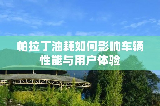 帕拉丁油耗如何影响车辆性能与用户体验