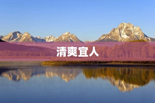 清爽宜人:夏日里的美妙享受