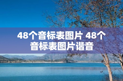 48个音标表图片 48个音标表图片谐音 48个音标表图片 48个音标表图片谐音