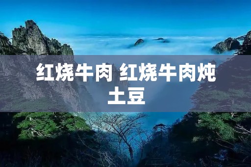 红烧牛肉 红烧牛肉炖土豆