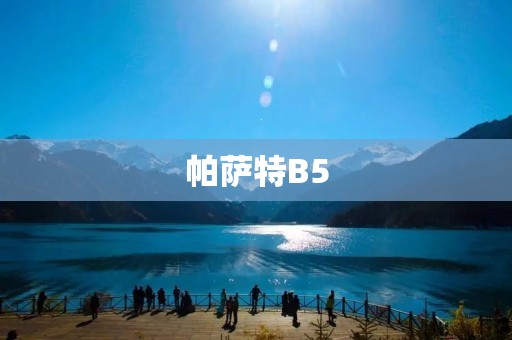 帕萨特B5：德系豪华轿车的经典之作